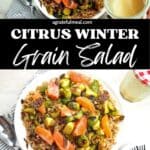 Pinterest image of the salad with the words "Citrus Winter Grain Salad" in text overlay.