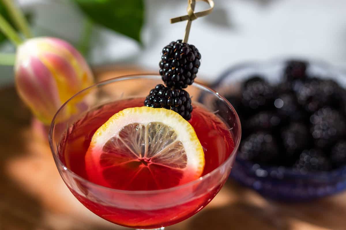 Close up of the Empress gin martini that is deeply red and garnished with lemon slice and blackberries. A bowl of blackberries is in the background.