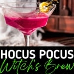 A martini glass full of the purple cocktail with a plastic spider for garnish with the words "Hocus Pocus Witch's Brew Cocktail" as text overlay