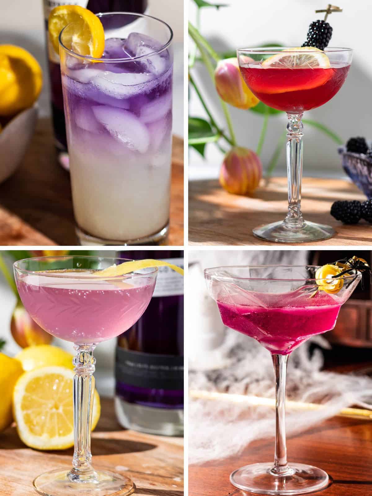 4 photos showing the color changes of butterfly pea flower - top left is Gin Lemonade with a dark purple on top and yellow on the bottom of the glass, top right is French Martini in a deep red, bottom left is a French 75 with light purple color, and bottom right is a Halloween cocktail in a bright deep purple.