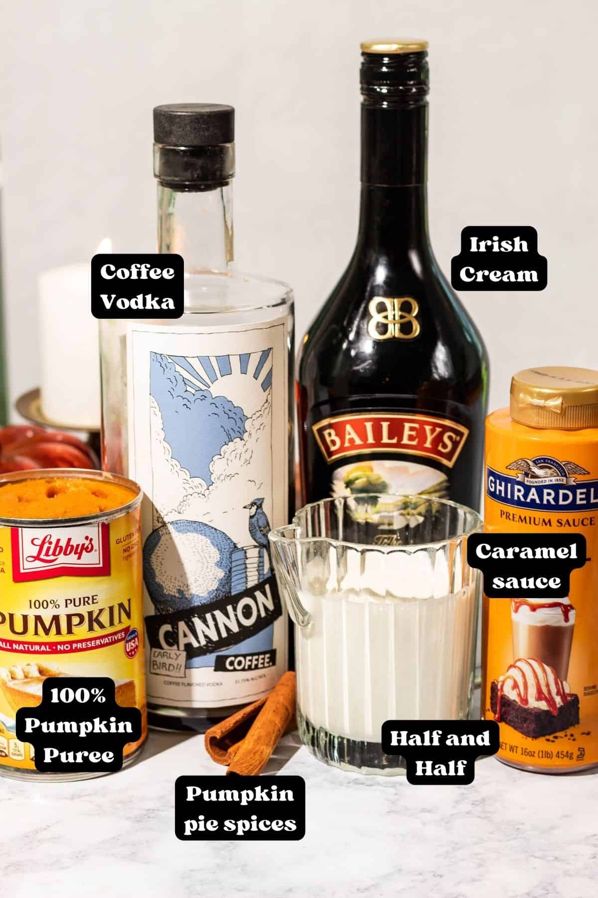 Ingredients labeled in black and white for a pumpkin mudslide including pumpkin puree in a can, a cinnamon stick, coffee vodka, Baileys Irish cream, half and half in a cream pitcher, and a bottle of caramel sauce.