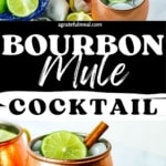 Pinterest image that says "bourbon mule cocktail".