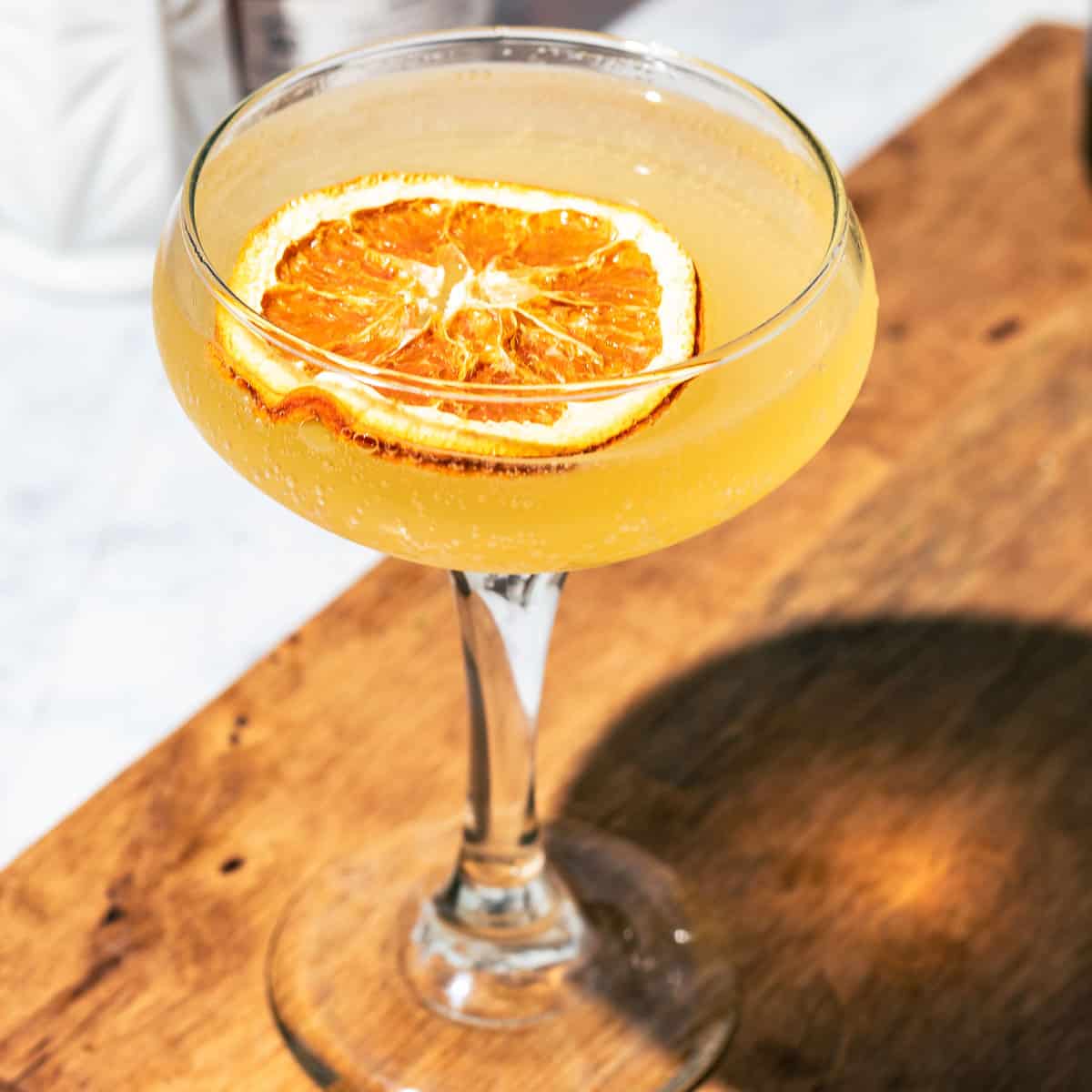 Coupe glass with a dried citrus wheel as garnish.