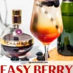 Pinterest image with the words "easy berry spritz cocktail" in text overlay.