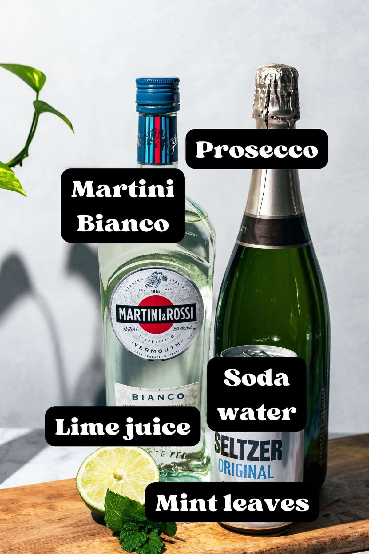 Easy Martini Royale Cocktail with Mint and Prosecco - A Grateful Meal