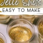 Pinterest image of the jello shots with the words "Champagne jello shots easy to make" in text overlay.