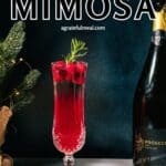 Pinterest image of the cocktail with the words "Poinsettia Mimosa" in text overlay.