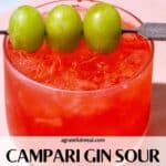 Pinterest image of the cocktail with the words "Campari Gin Sour with Grapes" in text overlay.